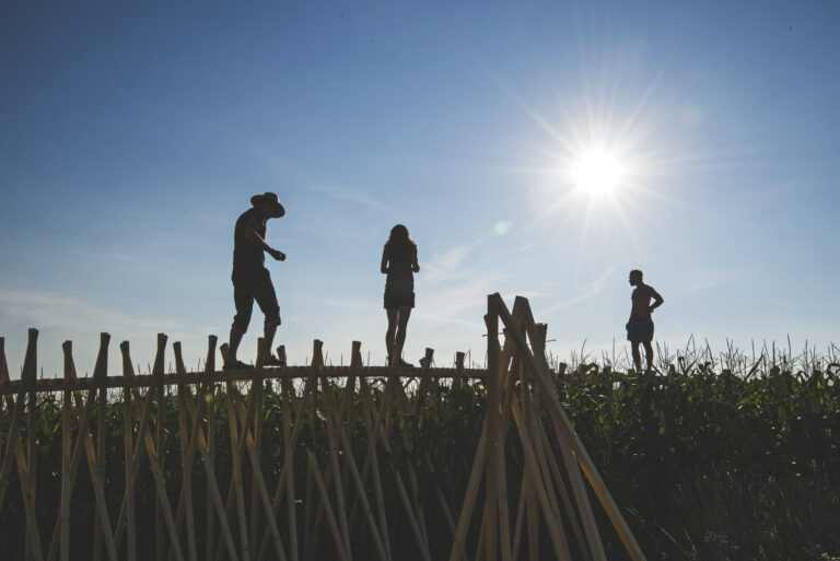 cornfield-summer-school-festival-architecture